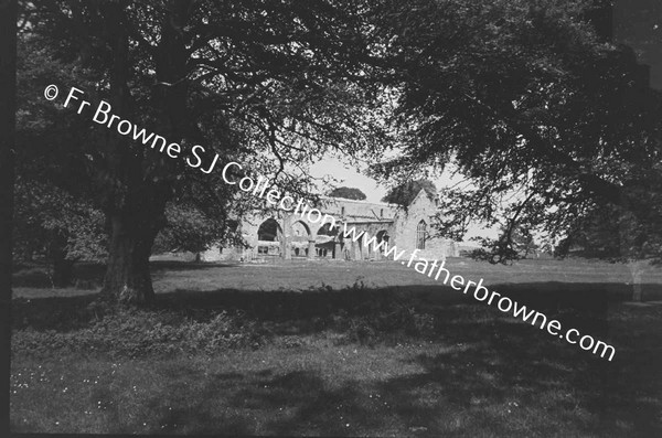 ARDFERT FRIARY SCENES